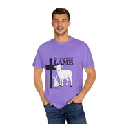 Faith-Inspired Unisex T-Shirt - "It's About The Lamb not the rabbit"