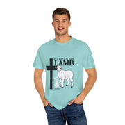 Faith-Inspired Unisex T-Shirt - "It's About The Lamb not the rabbit"