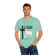 Faith-Inspired Unisex T-Shirt - "It's About The Lamb not the rabbit"
